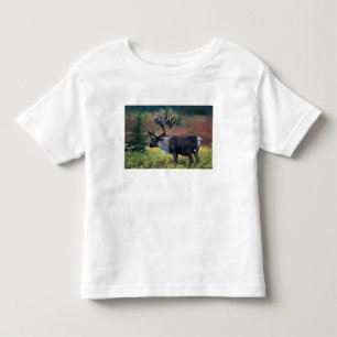 Camiseta De Bebé EE. UU., Alaska, Parque nacional Denali, caribú ma