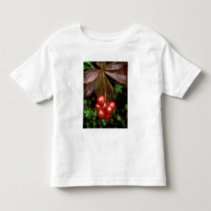 Camiseta De Bebé EE. UU., Alaska, Parque Nacional Denali. Detalle d