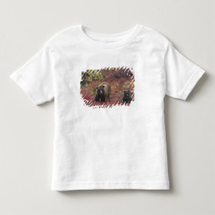 Camiseta De Bebé EE. UU., Alaska, Parque Nacional Denali. Oso pardo
