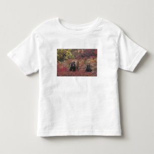 Camiseta De Bebé EE. UU., Alaska, Parque Nacional Denali. Oso pardo