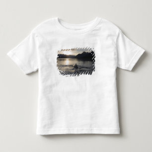 Camiseta De Bebé EE. UU., Alaska, Parque Nacional Glacier Bay,