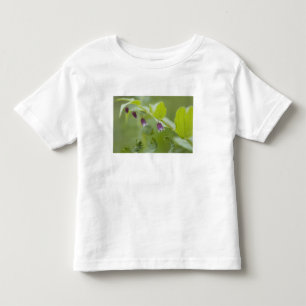 Camiseta De Bebé EE. UU., Alaska, Parque Nacional Glacier Bay.