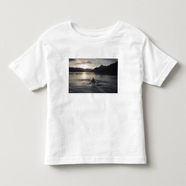 Camiseta De Bebé EE. UU., Alaska, Parque Nacional Glacier Bay, (Anverso)
