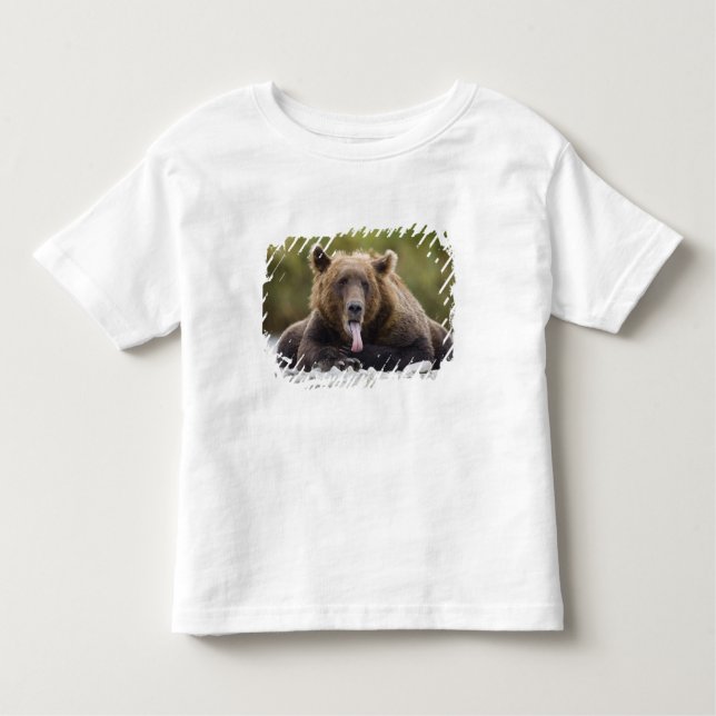 Camiseta De Bebé EE.UU., Alaska, Parque Nacional Katmai, Bahía Kuka (Anverso)