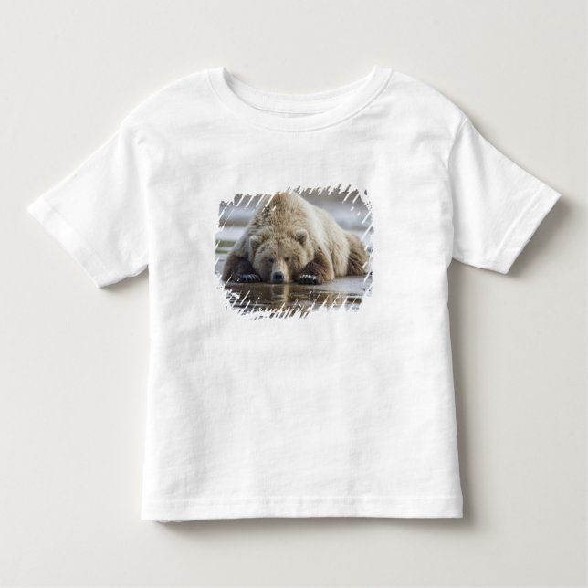 Camiseta De Bebé EE.UU., Alaska, Parque Nacional Katmai, oso marrón (Anverso)
