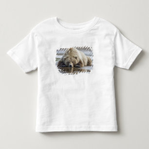 Camiseta De Bebé EE. UU., Alaska, Parque Nacional Katmai, Oso Pardo