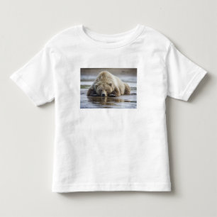 Camiseta De Bebé EE. UU., Alaska, Parque Nacional Katmai, Oso Pardo