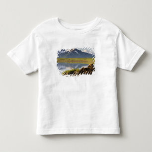 Camiseta De Bebé EE. UU., Alaska, Parque Nacional Katmai, Osos pard