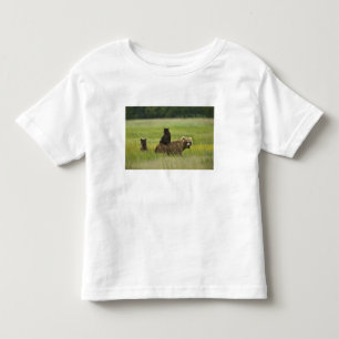 Camiseta De Bebé EE. UU., Alaska, Parque Nacional Lake Clark