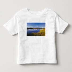 Camiseta De Bebé EE. UU., Alaska, PN Denali, Mt. McKinley en