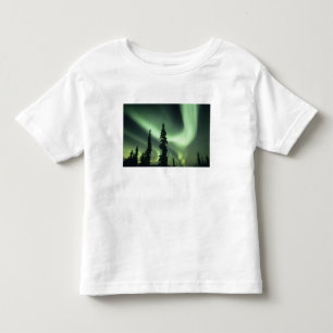 Camiseta De Bebé EE. UU., área de Fairbanks, Alaska central, Aurora