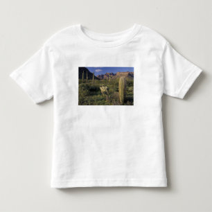 Camiseta De Bebé EE. UU., Arizona, Monumento Nacional Organ Pipe.