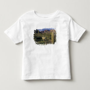 Camiseta De Bebé EE. UU., Arizona, Monumento Nacional Organ Pipe.