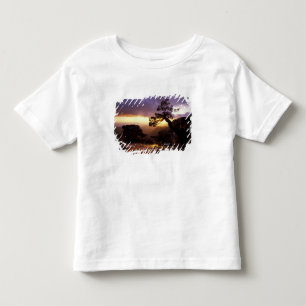 Camiseta De Bebé EE. UU., Arizona, Tucson, Atardecer y solitario