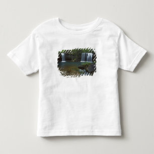 Camiseta De Bebé EE. UU., Arkansas, Ozark- St Francis Nacional