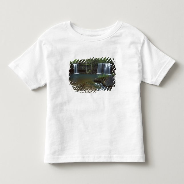 Camiseta De Bebé EE. UU., Arkansas, Ozark- St Francis Nacional (Anverso)