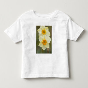 Camiseta De Bebé EE. UU., Arlington, Virginia, primer plano de blan