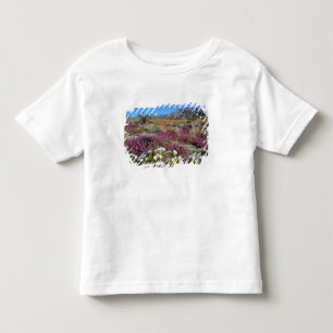 Camiseta De Bebé EE. UU., California, Anza-Borrego DSP. Tarde de du