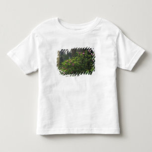 Camiseta De Bebé EE. UU., California, Del Norte, Parque estatal Red