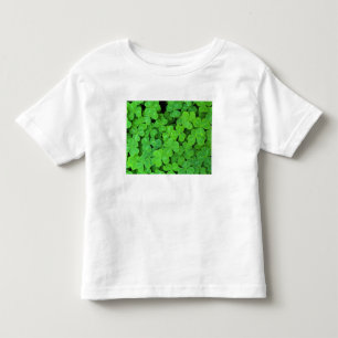Camiseta De Bebé EE. UU., California, Jedediah Smith Rewood SP.