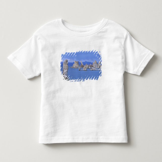 Camiseta De Bebé EE. UU., California, Mono Lake (Anverso)