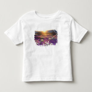 Camiseta De Bebé EE. UU., California, Parque Estatal Desierto Anza-