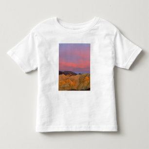 Camiseta De Bebé EE. UU., California, Parque Nacional Death Valley.