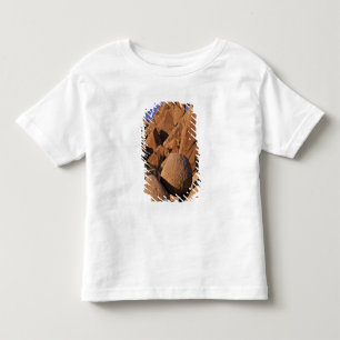 Camiseta De Bebé EE. UU., California, Parque Nacional Joshua Tree.