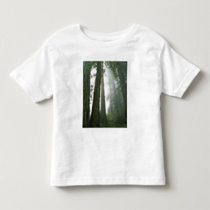 Camiseta De Bebé EE. UU., California, Parque Nacional Redwood,