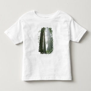Camiseta De Bebé EE. UU., California, Parque Nacional Redwood,