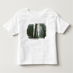 Camiseta De Bebé EE.UU., California, Parque Nacional Redwood, 2