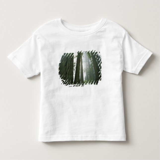 Camiseta De Bebé EE.UU., California, Parque Nacional Redwood, 2 (Anverso)