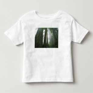 Camiseta De Bebé EE. UU., California, Parque Nacional Redwood, 2