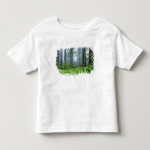 Camiseta De Bebé EE. UU., California, Parque Nacional Redwood. Árbo