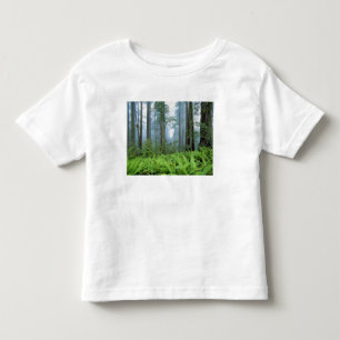 Camiseta De Bebé EE. UU., California, Parque Nacional Redwood. Árbo