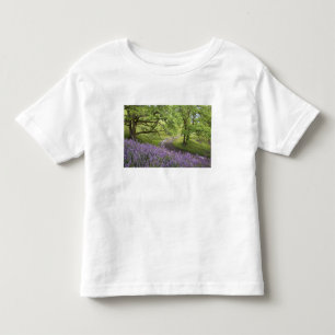 Camiseta De Bebé EE. UU., California, Parque Nacional Redwood. Tier
