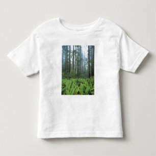 Camiseta De Bebé EE.UU., California, Redwood NP. Ferrocarriles y