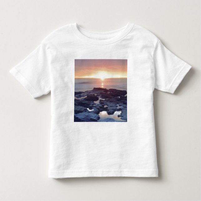 Camiseta De Bebé EE.UU., California, San Diego. Marea de los acanti (Anverso)