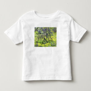 Camiseta De Bebé EE. UU., California, San Diego. Un bosque de roble