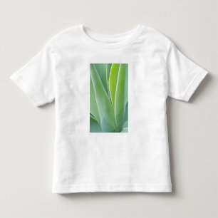 Camiseta De Bebé EE. UU., California, San Francisco, Golden Gate