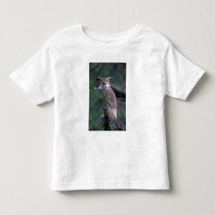 Camiseta De Bebé EE. UU., CO, Colorado Springs. Búho cornudo americ