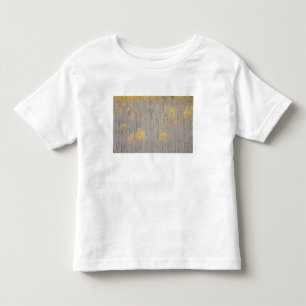 Camiseta De Bebé EE. UU., Colorado, Bosque Nacional White River.