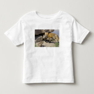 Camiseta De Bebé EE. UU., Colorado, Breckenridge. Madre de zorro ro