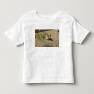 Camiseta De Bebé EE. UU., Colorado, Breckenridge. Zorro rojo alerta
