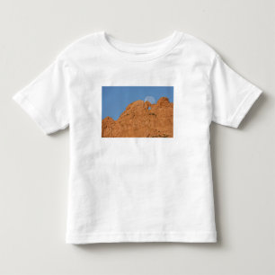 Camiseta De Bebé EE. UU., Colorado, Colorado Springs, Jardín de los