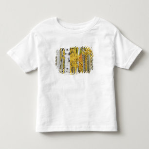 Camiseta De Bebé EE. UU., Colorado, Montañas Rocosas.  Aspen íntimo