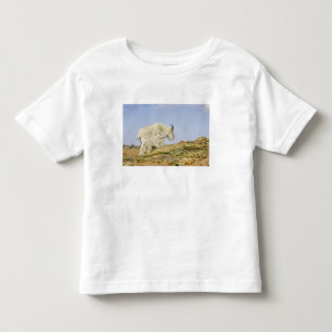 Camiseta De Bebé EE. UU., Colorado, Montañas Rocosas, Monte Evans,