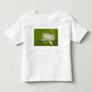 Camiseta De Bebé EE. UU., DC, Washington, Kenilworth Acuático