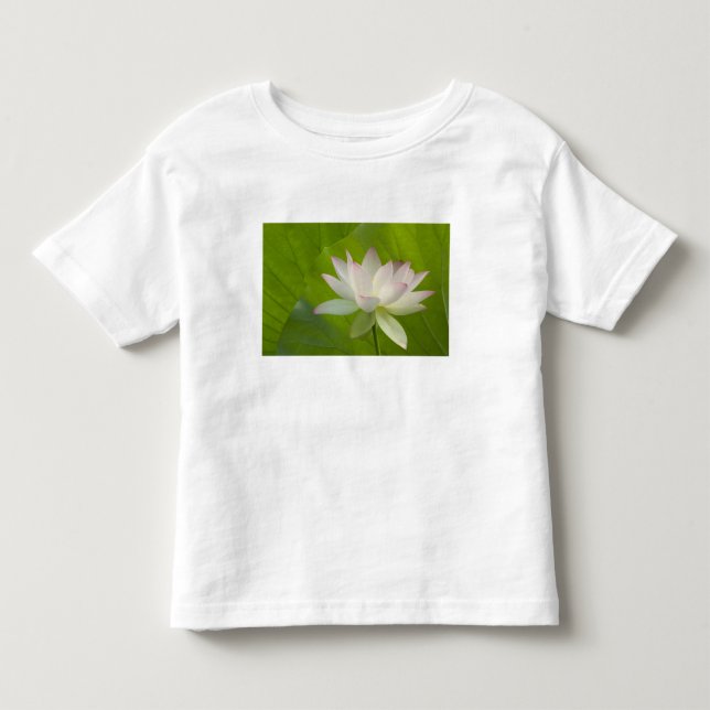 Camiseta De Bebé EE. UU., DC, Washington, Kenilworth Acuático (Anverso)