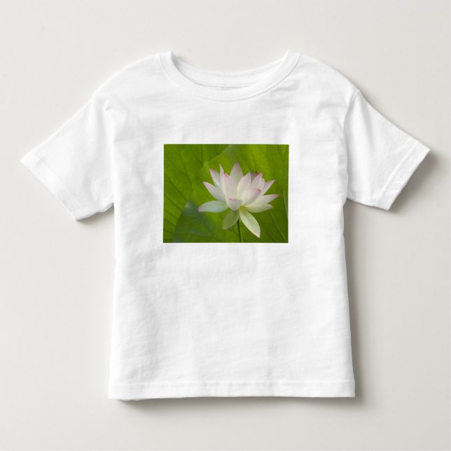 Camiseta De Bebé EE.UU., DC, Washington, Kenilworth Aquatic (Anverso)